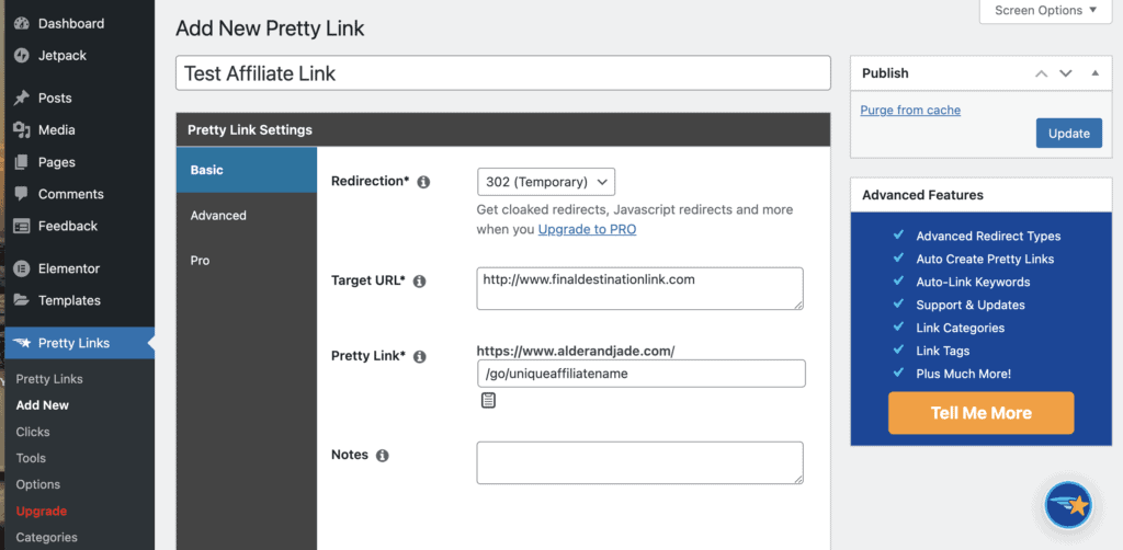Affiliate Link Example Entry