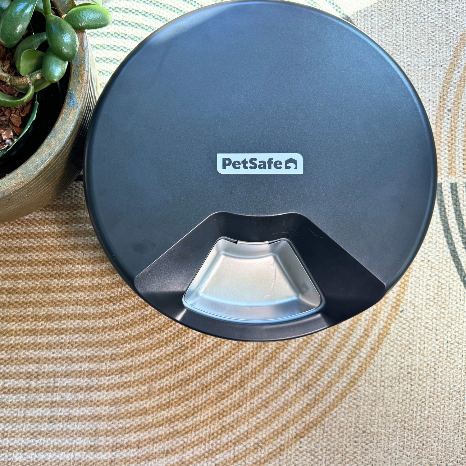 PetSafe FreshFeed